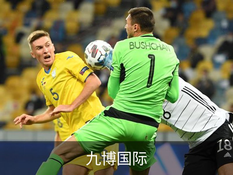 九博国际简介